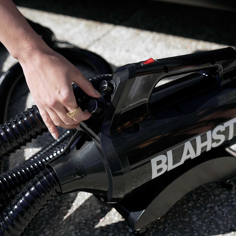 Blahst air Maxx dryer close up of controls