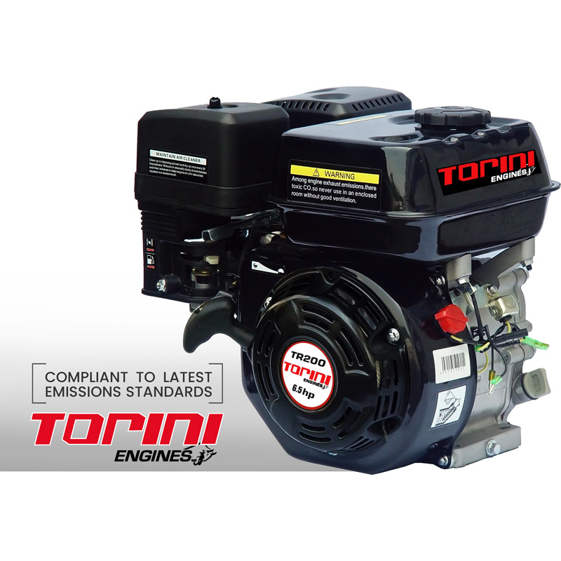 Torini engine for pressure washer