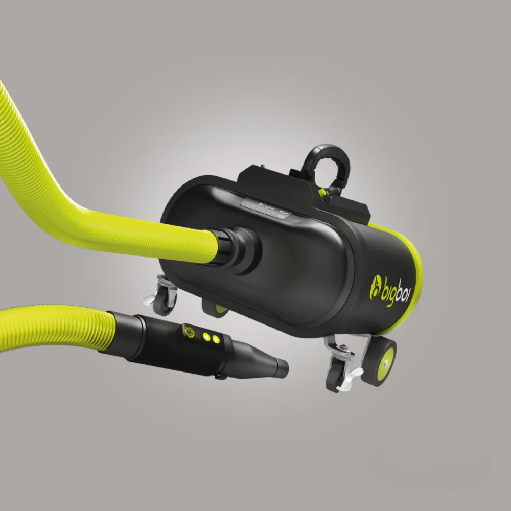 Bigboi BlowR with 'bigboi' branding on a gray background