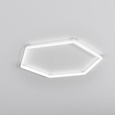 HEXA Mono Classic hexagon LED garage light